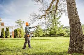 Best Tree Risk Assessment  in Yorkville, WI